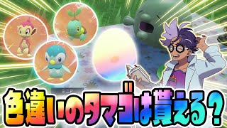 【検証】ジニア先生イベントで色違いのタマゴは貰えるのか？【ポケモンSVゼロの秘宝/碧の仮面/色違いシンオウ御三家】