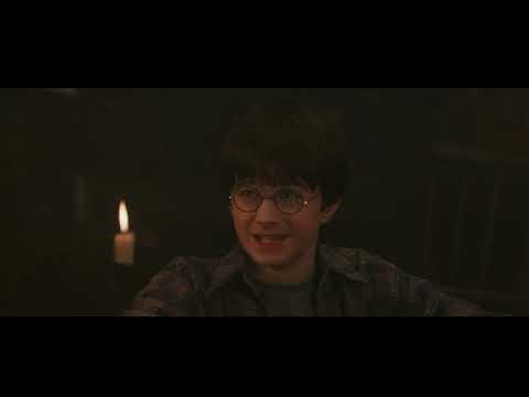 Harry Potter and the Philosopher's Stone - Hagrid and the Boy Who Lived