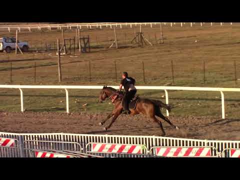 palio urzulei corsa alla stella    10.08.2019