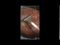 Tunjuk Ajar Ringkas Masakan OZLYNN