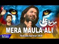 Mera Maula Ali Nadeem Sarwar 2020 1442