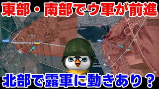 【ペンギン閣下】露「アゾフ海か・・・あきらめようかなぁ・・・【国際情勢】