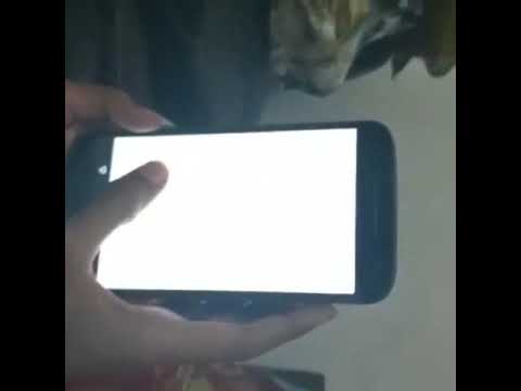 Aishwarya Iyer SONY TV| PATAILA BABES SERAIL| SOCIAL MEDIA INFLUENCER PROJECT| AISHWARYA IYER| JAYANTHI IYER