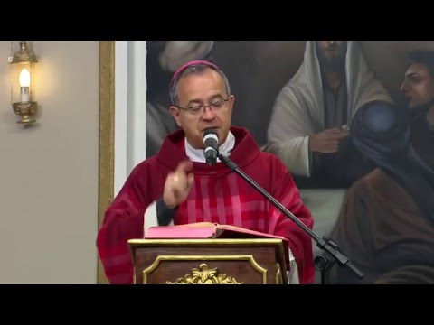 Homilia D. José Falcão - 03/05/16 - Igreja una, santa, católica e apostólica
