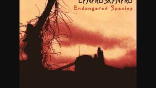 Lynyrd Skynyrd   Devil In The Bottle