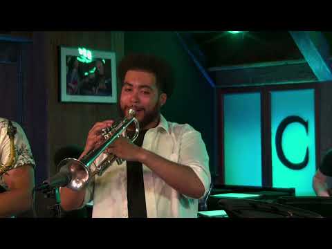 The Chronicles - Shed City