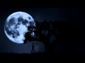 Trailer for "The Tent"