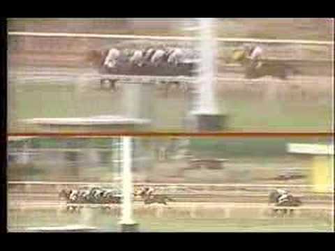 Copa Confraternidad del Caribe 1990 (version machos)