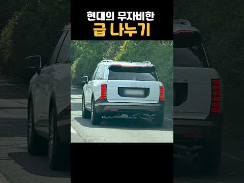 신형 팰리세이드, 진짜 선넘는 급 나누기