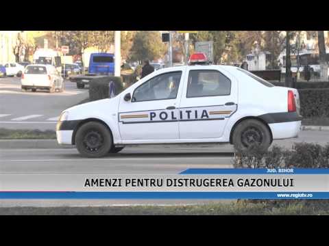 AMENZI PENTRU DISTRUGEREA GAZONULUI