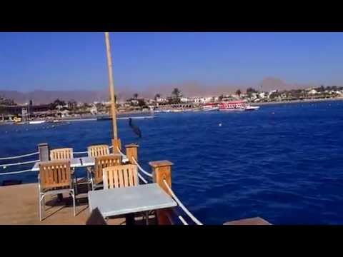 ЧЕРНАЯ ЦАПЛЯ и МОРЕ КРЫЛАТОК