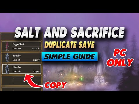 Salt and Sacrifice How To Duplicate Save - Simple Guide