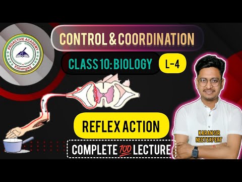 Proactive Academy Imphal Video 3