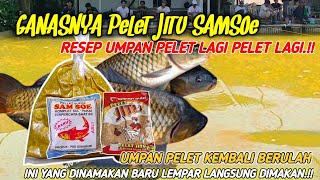 Download lagu UMPAN IKAN MAS JITU SAMSOE TERGACOR‼️RACIKAN UMPAN JITU MANCING IKAN MAS SUSAH MAKAN mp3