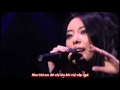[vietsub] Tsukiko Amano- Chou (live) 