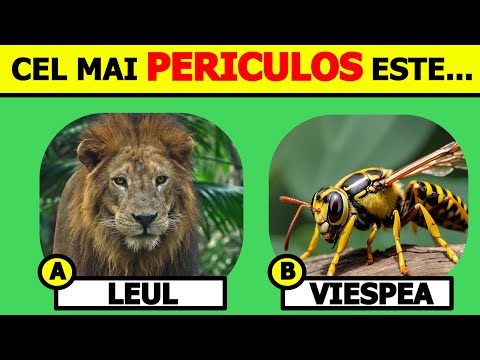 🧠How well do you know animals? 🦁🐘✅ Part 1️⃣ #quiz about #animals