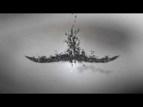 Transynaptic - Birds Of Prey