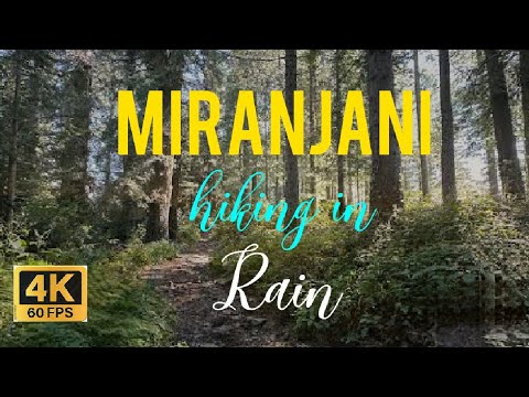 Rainy Walk Through Miranjani Mountain | Nature Sounds & Serenity - 4K 60FPS
