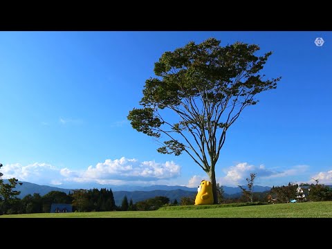 最先端TV2024