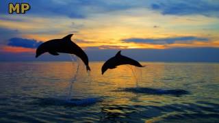 We Are One by One Voice Children&#39;s Choir