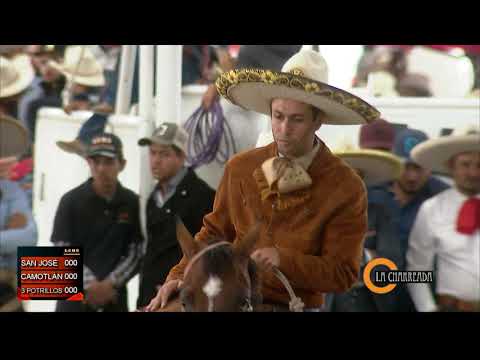 Una de las Excelentes calas de Mauricio Rios