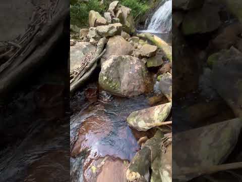 Cascata do Quintal em CARAÁ RS #emalta #caminhoparaumavidamelhor #deustemumapalavrapravoce #nature