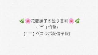 花菱撫子の独り言⑩