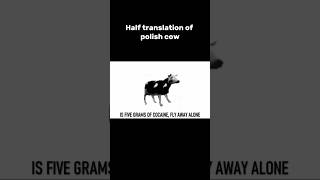 Half translation of Dancing Cow #shorts #memes #polish #viralshort #translation #cow