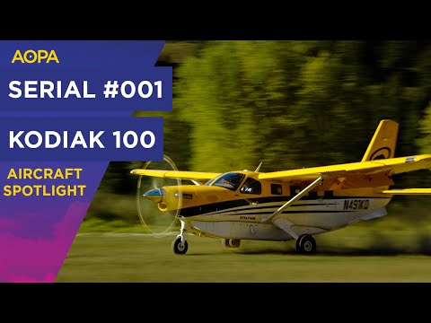 The FIRST certified Kodiak 100 - Serial #001 Walkaround