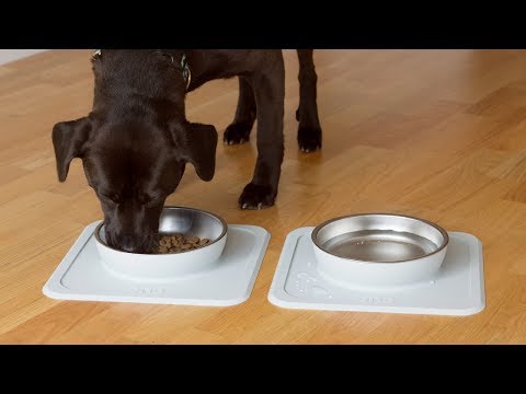 Keep your pet’s bowl from moving.