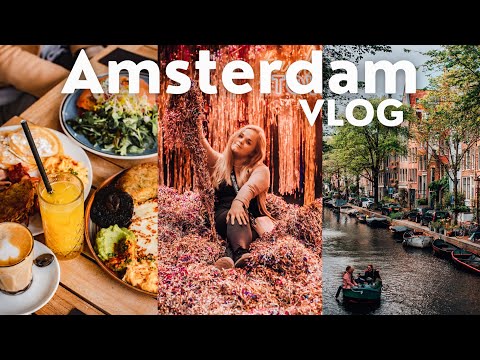 Two nights in Amsterdam with friends visiting 💖 WONDR experience, restaurants & exploring