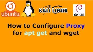 How to Configure Proxy for apt get and wget in Ubuntu