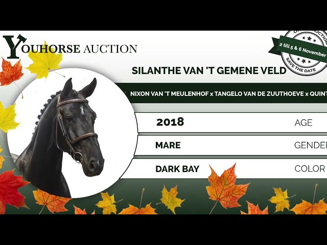 Silanthe showvideo
