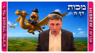 מרכז דף יומי - מכות דף ה. - ר' אלי סטפנסקי שליט"א