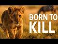 BORN TO KILL Predator S First Blood