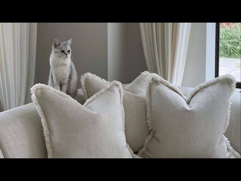 you + others forget desired memories + they never happened subliminal