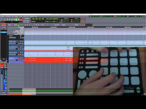 Smeefer - Gulls & Crows Collaboration
