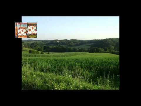 Petrova gora - Vrginmoste rodni grade