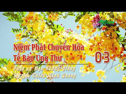 Niệm Phật Chuyển Hóa Tế Bào Ung Thư -3