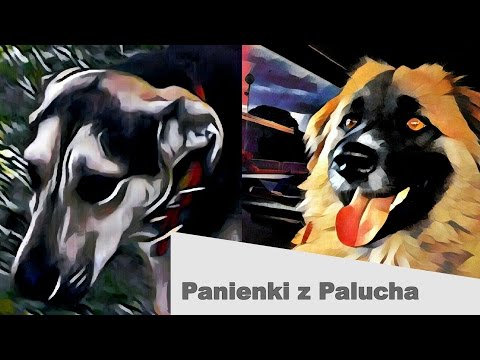 Wpadać na międzypaliczkowego stawu na palcu Deformacja stawów obu nóg