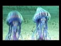 Początek Kasety VHS Do Filmu Barbie Fairytopia Z 2005 R