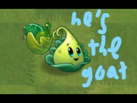 turkey pult is the goat. reflourished ep. 8