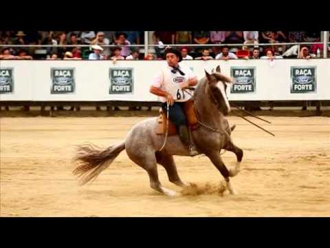 Bronze Mouthpiece Males 2017 - Camila's Infinity