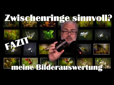 Fotografie | Makrofotografie mit Zwischenringen sinnvoll? Mein Fazit anhand meiner Bilderauswertung