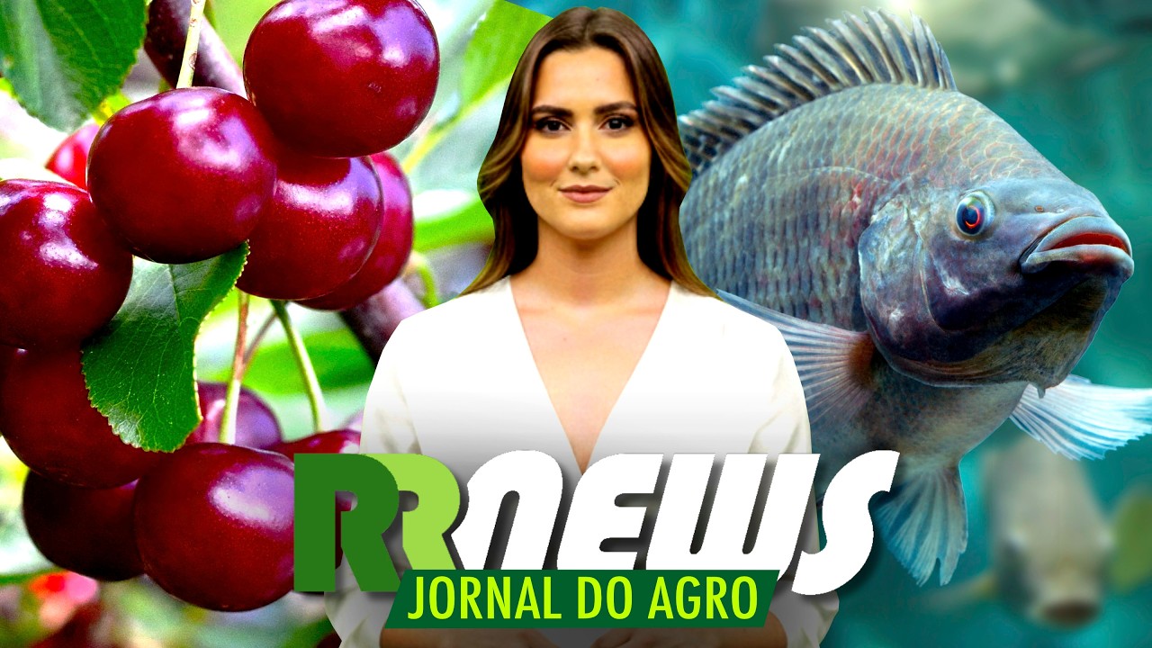 RRNEWS - O Jornal do Agro - 03/10/2026