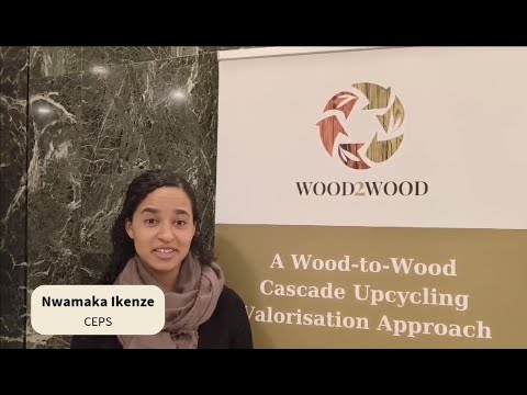 "Meet The Partner" #7 CEPS