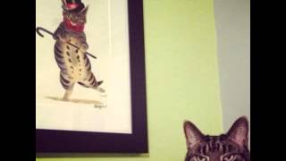 Alex Banks - Silent Embrace