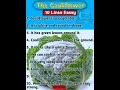 10 Lines Essay On The Cauliflower In English Short Essay On Cauliflower Cauliflower CarryOn 360