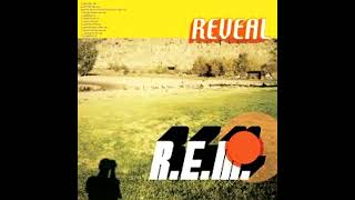 R.E.M. - Beachball [5.1 Surround Sound]