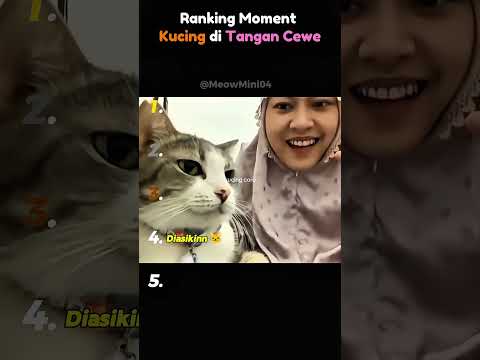 Rangking Moment Kucing di Pegang Cewe #cat  #moments #shorts #viral